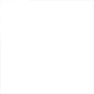 Spinning Datasenji logo disc